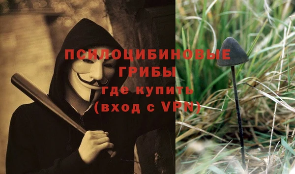гидра Абдулино